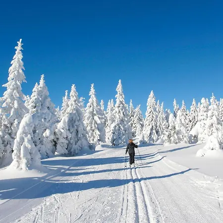 Ferienhauspark Prázdninový dům Hasselfelde