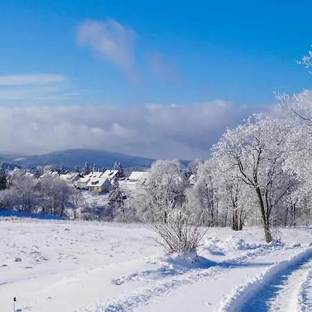 Prázdninový dům Ferienhauspark