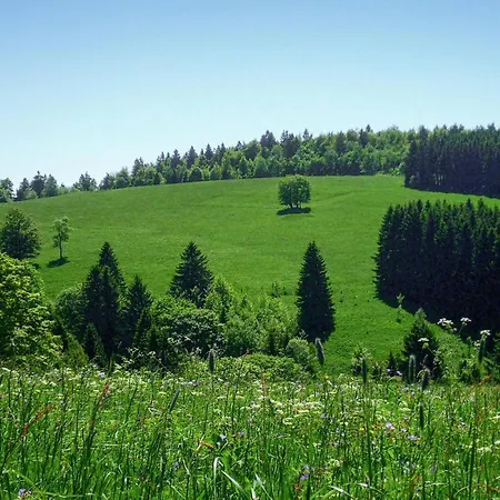 Ferienhauspark Prázdninový dům Hasselfelde