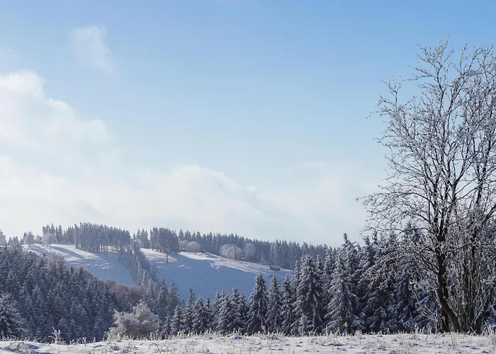 Ferienhauspark 度假居 *