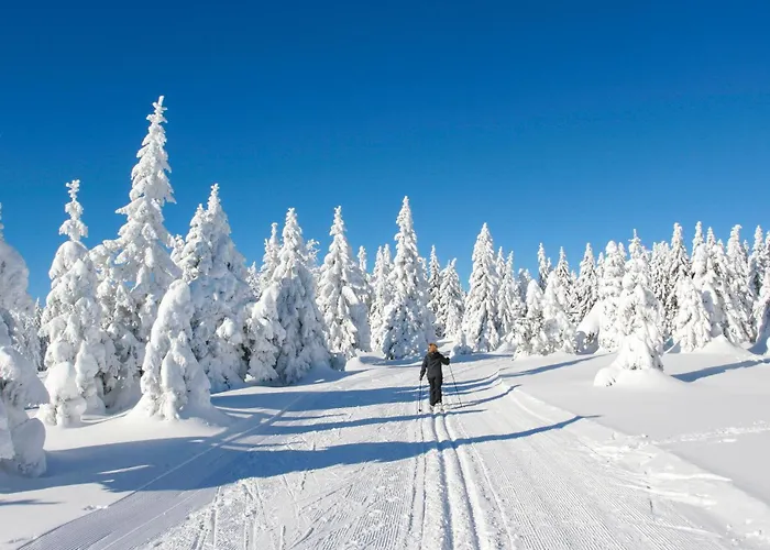 Ferienhauspark 度假居 哈瑟尔费尔德