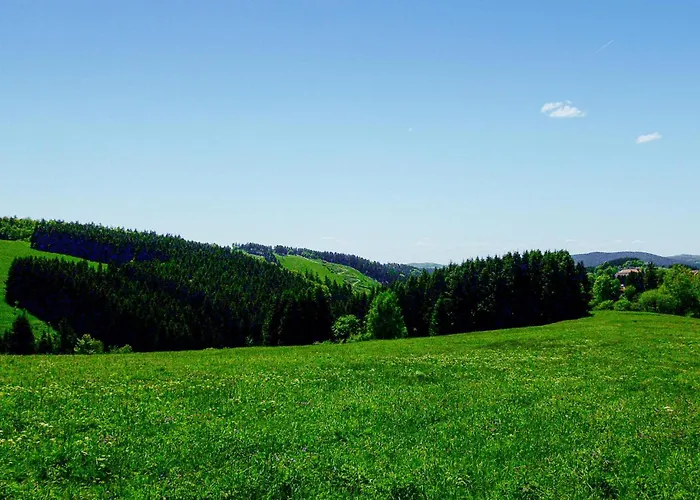 Ferienhauspark 哈瑟尔费尔德