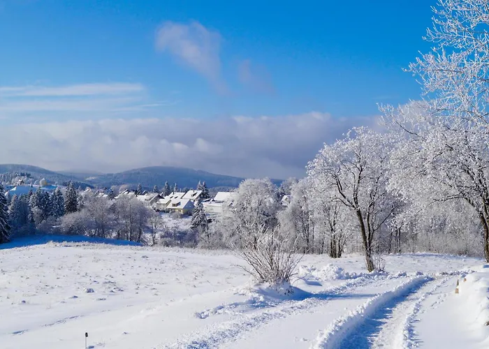 度假居 Ferienhauspark