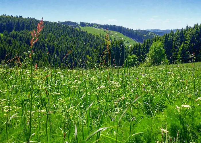 Ferienhauspark 哈瑟尔费尔德