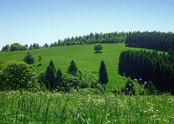 Ferienhauspark 度假居 哈瑟尔费尔德